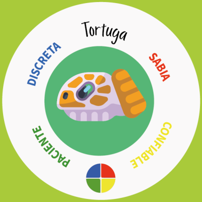 Animazo VECTORES_2_Tortuga